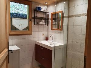 a small bathroom with a sink and a shower at Chalet Le Sapin in Le Grand-Bornand