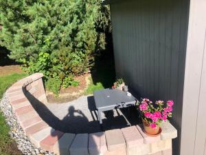 Zahrada ubytování Appartements Wilma