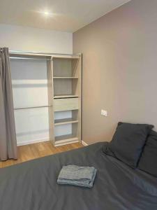 a bedroom with a bed and a closet at Appartement Saint-Etienne hyper centre in Saint-Étienne