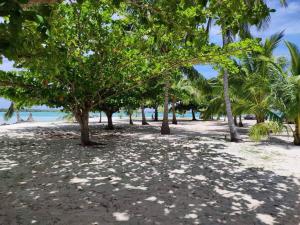 grupa drzew na plaży z oceanem w obiekcie Maupiti Dreams w mieście Te-Fare-Arii