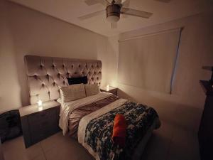 特克塞丁戈Paraíso Teques, Casa entera con acceso al lago的相册照片