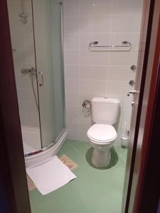 a small bathroom with a toilet and a shower at Apartments Krapina Lux in Budva