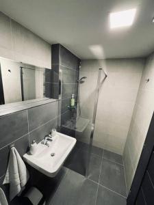 bagno con lavandino e doccia di Apartmán U Trati a Mikulov