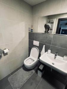 uma casa de banho com um WC e um lavatório em Apartmán U Trati em Mikulov