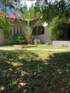 una casa con una palmera frente a un patio en The ranch apartments, en-suite rooms en Lusaka