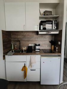 a small kitchen with white cabinets and a sink at Appartement avec vue sur le lac in Lognes
