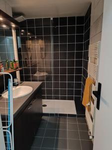 a black tiled bathroom with a sink and a mirror at Appartement avec vue sur le lac in Lognes