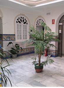 a room with a palm tree in a building at Santillana terrazas in Seville +2 photos