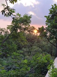 a sunset through the trees in the forest at Nice Bedroom with Private Ensuite Bathroom in New Delhi