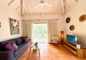 a living room with a couch and a flat screen tv at Passiflora in Orient Bay