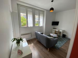 ein Wohnzimmer mit einem Sofa und einem Tisch in der Unterkunft studio BORDEAUX CHARTRONS 2 in Bordeaux