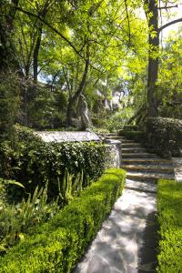 
a path that leads to a park filled with trees at La Puertecita Boutique Hotel in San Miguel de Allende
