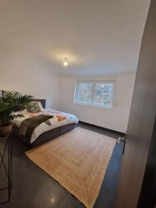 1 dormitorio con cama, alfombra y ventana en Duplex-Cocon-Proximité - Piscines Thermales -Sauna, en Hombourg-Haut