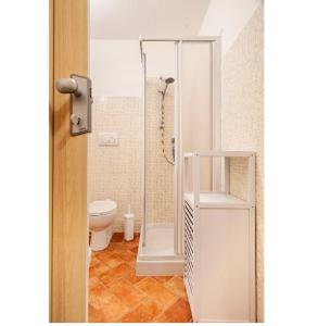 łazienka z prysznicem i toaletą w obiekcie La Mezzana w mieście Santa Luce