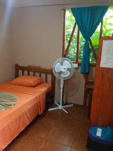 1 dormitorio con ventilador junto a una cama y una ventana en Martinas Place, en Drake