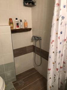 a shower in a bathroom with a shower curtain at Elol stone house in Lithínai