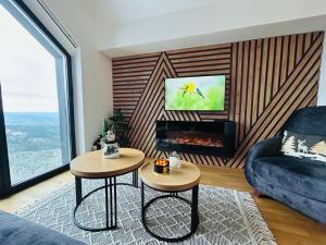 TV i/ili multimedijalni sistem u objektu Divcibare Vrh 26