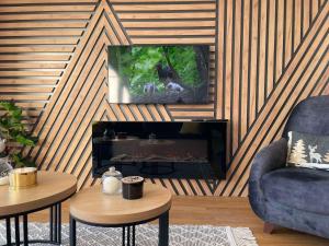 TV i/ili multimedijalni sistem u objektu Divcibare Vrh 26
