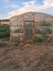 Imagine din galeria proprietății Cabaña Don Osvaldo în Villa Alegre +9 fotografii