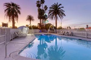 a swimming pool with palm trees and a water slide at Best Western Space Age Lodge in Gila Bend