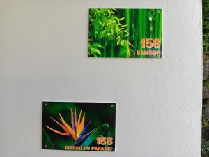 Fotografie z fotogalerie ubytování Oiseau du paradis v destinaci La Trinité