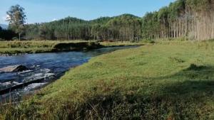 une rivière dans un champ avec des arbres en arrière-plan dans l'établissement HOTEL CENTRAL TAMESIS, à Támesis