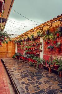 a brick wall with potted plants on it at Colonial Home Chachapoyas in Chachapoyas