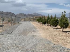 a dirt road with trees and a fence at Sun Guest House Pahrump in Pahrump