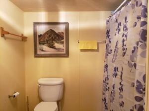帕朗的住宿－Sun Angel House #3 Pahrump，一间带卫生间的浴室和墙上的绘画