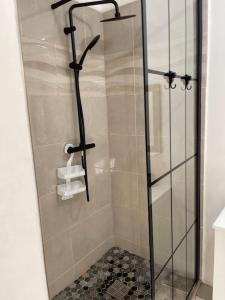 a shower with a glass door in a bathroom at Appartement tout équipé proche des plages in Sainte-Luce