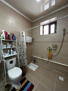 a bathroom with a toilet and a shower at Balu in Karakol +8 photos