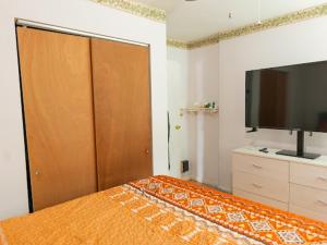 a bedroom with a bed with a large closet and a flat screen tv at Fairmount Place in Fair Lawn