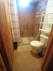a bathroom with a toilet and a shower at Cabaña El Fresno 