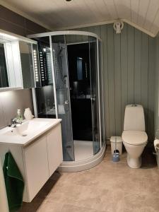 y baño con ducha, aseo y lavamanos. en Kleines Haus am Fjord, 
