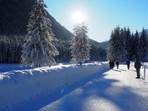 un grupo de personas caminando por una carretera cubierta de nieve en Residence Rodolon Appartamenti en Campestrin