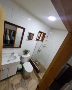a bathroom with a toilet and a sink and a mirror at Cabañas Condominio El Bosque in Pucón +5 photos