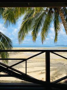 Blick auf einen Strand mit einer Palme in der Unterkunft Ella's Place Salang Tioman in Tioman Island