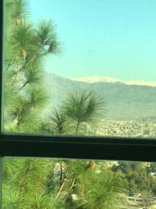 a view of a palm tree from a window at SWAT HILL VIEW RESORT- only for families in Swat