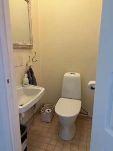 a bathroom with a white toilet and a sink at Kustaan neliö in Kokkola