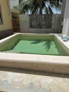 una gran piscina de agua verde en el patio trasero en Chuburná suites Depa Jr, en Chuburná