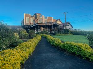 a house with a walkway in front of a building at The Forest and Lake by Schofieldshire in Nuwara Eliya