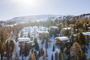 - une vue aérienne sur un complexe dans la neige dans l'établissement Alpenpark Turrach by ALPS RESORTS, à Turracher Höhe