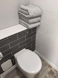 a bathroom with a white toilet and towels at Private garden annexe with kitchenette in Gedney
