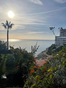 - une vue sur l'océan avec un palmier et le soleil dans l'établissement Apartamento Torre de la Roca Torremolinos, à Torremolinos