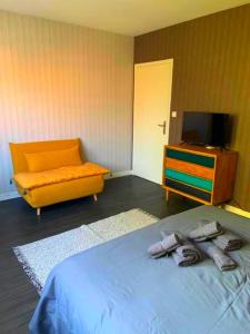 a bedroom with a bed and a couch and a tv at Appartement spacieux, calme et lumineux. in Caen