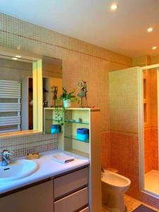 ein Badezimmer mit einem Waschbecken, einem WC und einem Spiegel in der Unterkunft Appartement spacieux, calme et lumineux. in Caen