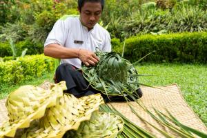 Zahrada ubytování Padma Resort Ubud