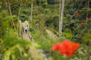 Zahrada ubytování Padma Resort Ubud