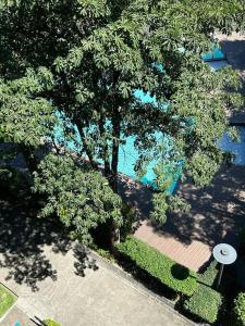 マニラにあるModern Oasis: Pool + Netflixの木々とスイミングプールの景色