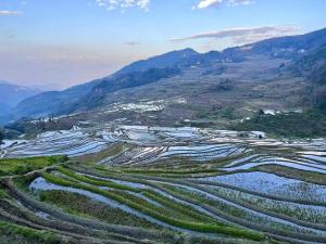 an aerial view of a terraced rice field at Yuanyang Flower and Horse Inn in Yuanyang